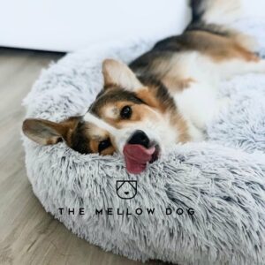 The Mellow Dog Calming Bed Review