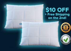 The Nuzzle Pillow Review