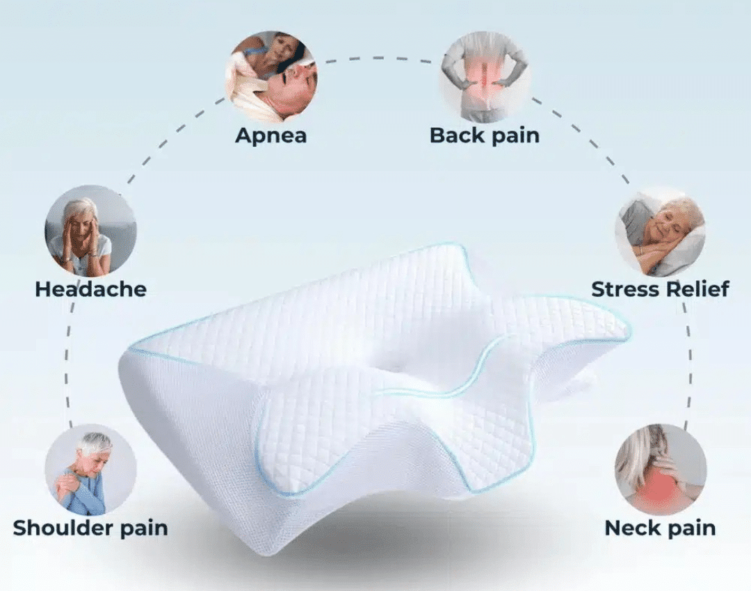 Ergo Z Pillow Reviews