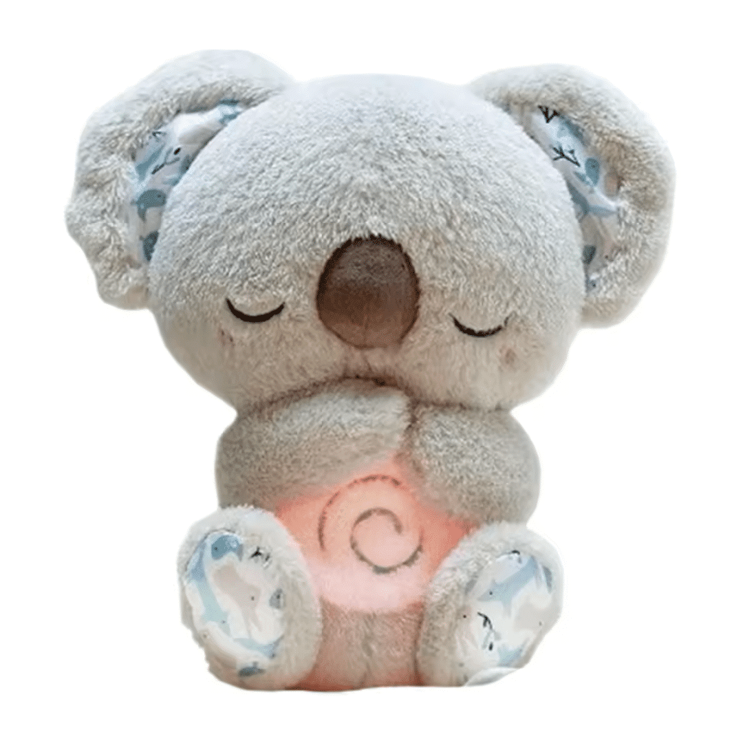 Evora Relief Koala Reviews