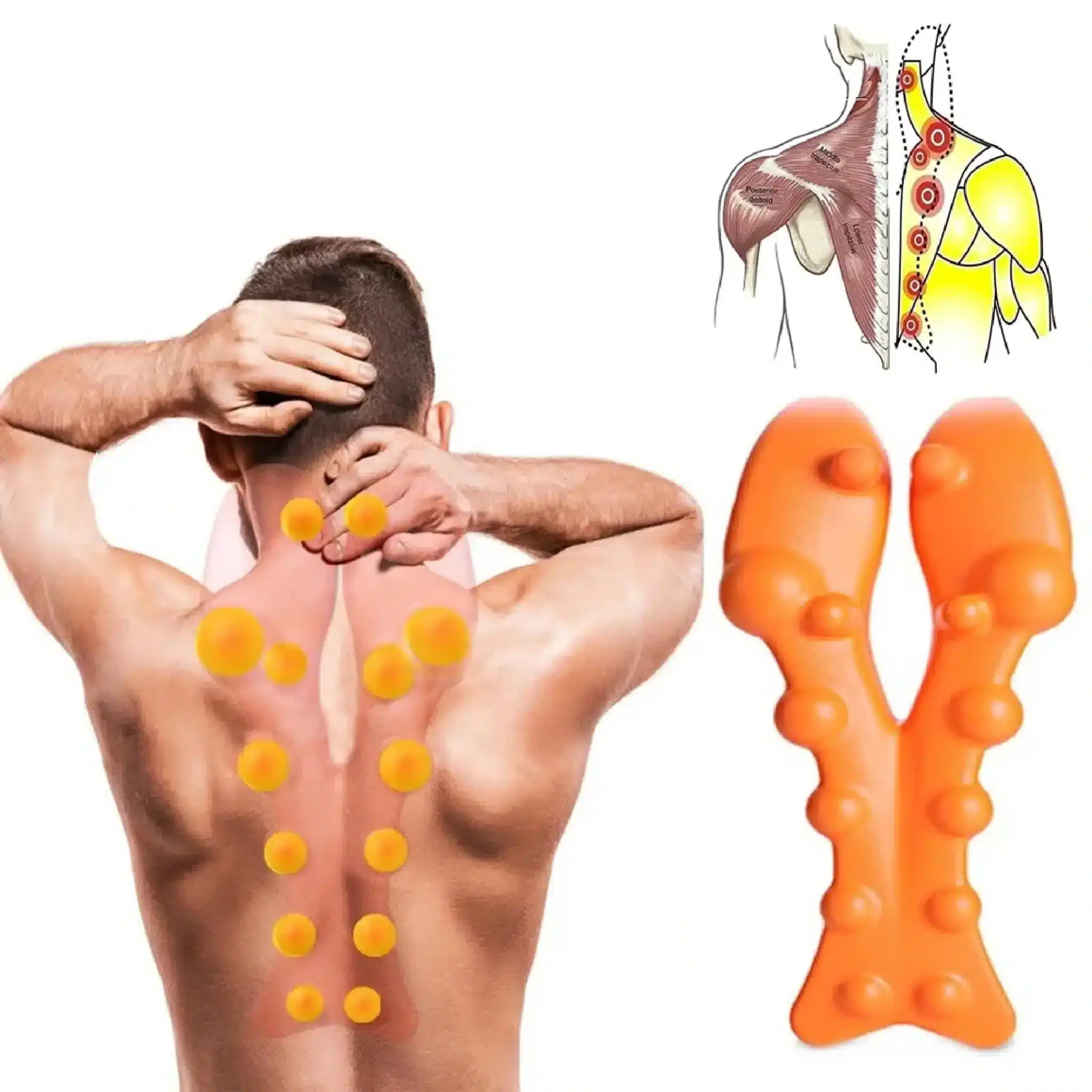 Trapeaze Stretcher Reviews